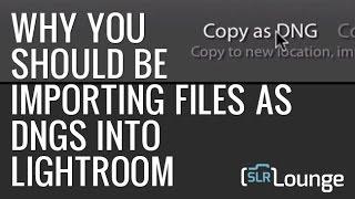 Why You Should Be Importing Files as DNGs into Lightroom