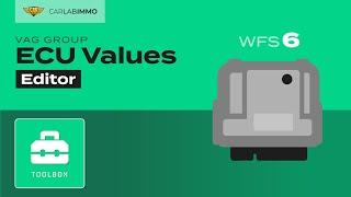 ECU Values (VAG Group WFS6) Read + Edit VIN1/VIN2/MAC/POWER CLASS/FAZIT | Immo Bypass Toolbox