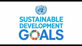 A Look at the Sustainable Development Goals