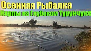 Осенняя Рыбалка в Маяках, Карпы  ( сазаны ) на Глубоком Турунчуке 20.09.2021.