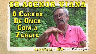 Caçada de onça com zagaia, por sr. Agenor Viana - Memória Barranqueira #61