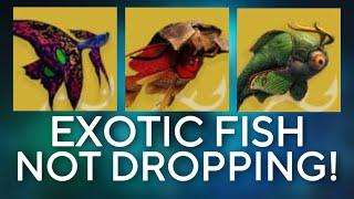 NEW EXOTIC FISH NOT DROPPING! Destiny 2: Season Of The Deep