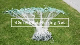 60m Mullet Herring Net 3inch 75mm Mono x 20MD