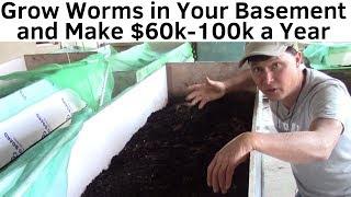 Make $60K-$100K a Year By Growing Worms in Your Basement