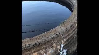 leaking concrete water trough repair process - this video shows how to repair leaking tanks.