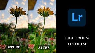 Lightroom Mobile Editing | Lightroom Tutorial | Mobile Photo Editing | For Beginners