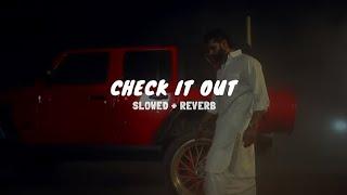 CHECK IT OUT ( SLOWED + REVERB ) | PARMISH VERMA & PARADOX