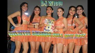 DELEITES ANDINOS FULL MIX 2021 | DJ WIGUI