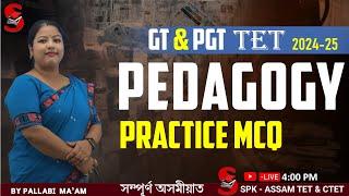 Assam TET (GT & PGT) 2024-25 || PEDAGOGY || Practice MCQs || By Pallabi Ma'am ||