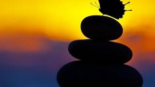 3 Hour Zen Meditation Music: Soothing Music, Healing Music, Calming Music, Relaxation Music, 2445