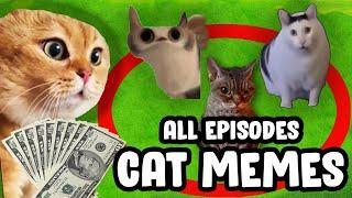 MRBEAST CHALLENGE CAT MEME COMPILATION...