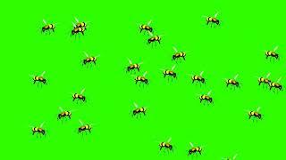 swarm green screen effect