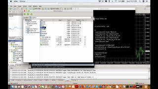 How to install EA on XM forex Metatrader MT4 Mac edition