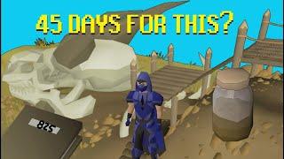 I grinded for 45 days to save 2 minutes! OSRS {#55}