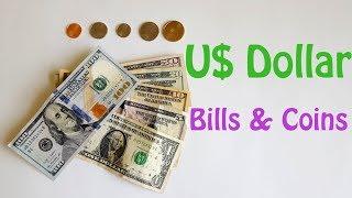 Indian in America | How many types of US dollar bills and coins are there ?