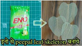 DIY Leaf Skeleton - पीपल के पत्तो की जाली बनाये - how to make peepal leaves skeleton/ Leaf Net