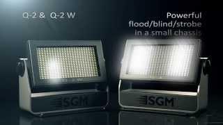 SGM presents the Q-2 & Q-2 W flood, blind, strobe lights