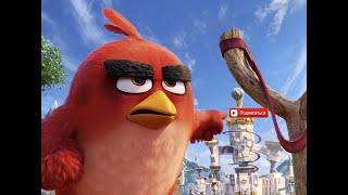 Злые птицы Снова в Деле! Angry Birds ! Первые 10 этапов