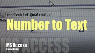 MS Access Convert Number to Text