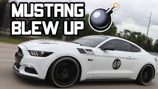 800hp Mustang Blows Up