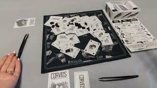 DVC Games - How to Play Corvids