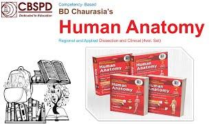 Bd Chaurasia Human Anatomy 10th Edition Overview | Comprehensive Guide to Human Anatomy