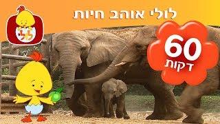 ספיישל לולי אוהב חיות - תכניות ושירים ברצף - ערוץ לולי