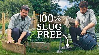 10 Best & Cheap Ways to Get Rid of Slugs in Your Garden