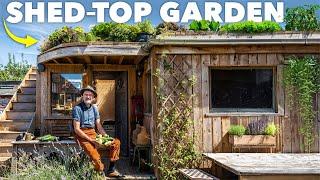 Shed-Top Garden: How to Grow Food in a Tiny Space