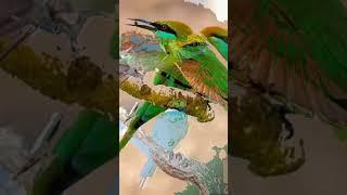 green Bee eater Bird?  #astro #facts #astrology #motivation #astroverse #snake #space #universe