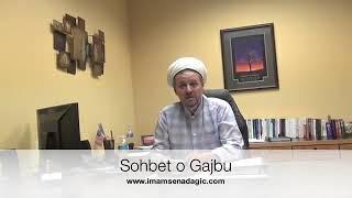 Sohbet o Gajbu   Dr  Imam Senad ef, Agic