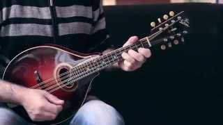 Irish mandolin lessons. The glass of beer (reel)