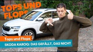 Was mich am Skoda Karoq nervt und begeistert! Mit Peter R. Fischer | mobile.de