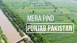 Beautiful village in Faisalabad || Rural Punjab Pakistan || Drone View