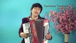 Тынчтык Ташбаев - Теним бар