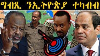 ERIPM | NEWS ~ ዜና |  ግብጺ ንኢትዮጵያ ተካብብ