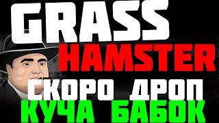 Hamster kombat aирдроп скоро | Grass аирдроп скоро