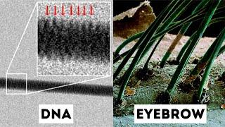 Unique Objects Under Electron Microscope!