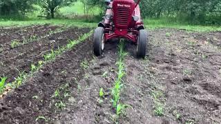 Wheel horse 702 with cultivator