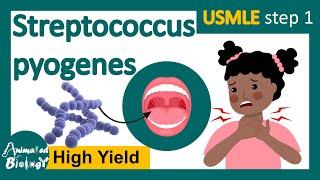 Streptococcus pyogenes | Streptococcal infection | Structure, pathology and treatment options |usmle