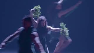 Australian Dance Theatre | The Beginning of Nature