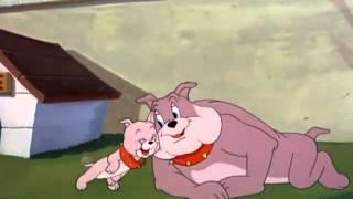 Tom  Jerry - Thats my boy.mp4