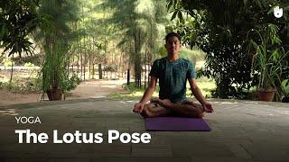 Learn the Lotus Pose - Padmasana | Yoga