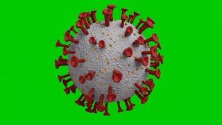 Green Screen Virus 3D Model Corona virus footage Animation COVID-19 No copyright Free Video download