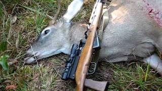 Whitetail deer hunting with an SKS - 7.62x39