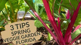 3 Spring Tips For Your Florida Spring Vegetable Garden