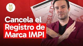 ¿Cómo cancelar un registro de marca IMPI?  | Pixtor