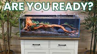 AVOID COSTLY MISTAKES! Watch This BEFORE Buying Your First Aquarium