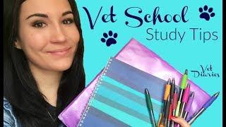 VET SCHOOL STUDY TIPS | Vet Diaries