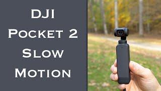 DJI Pocket 2 | Slow Motion Examples (240 fps)